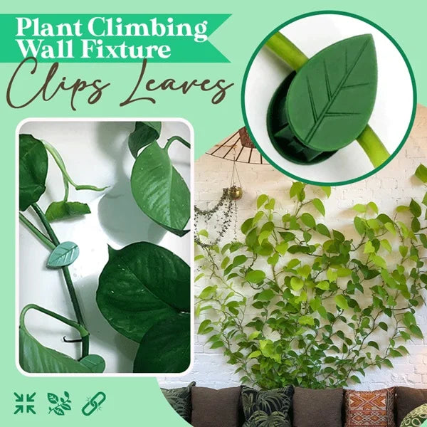 20 Pcs Leaf Plant Fixing Clip Box Packing